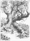 TreeGnomes5x6.jpg (71766 bytes)
